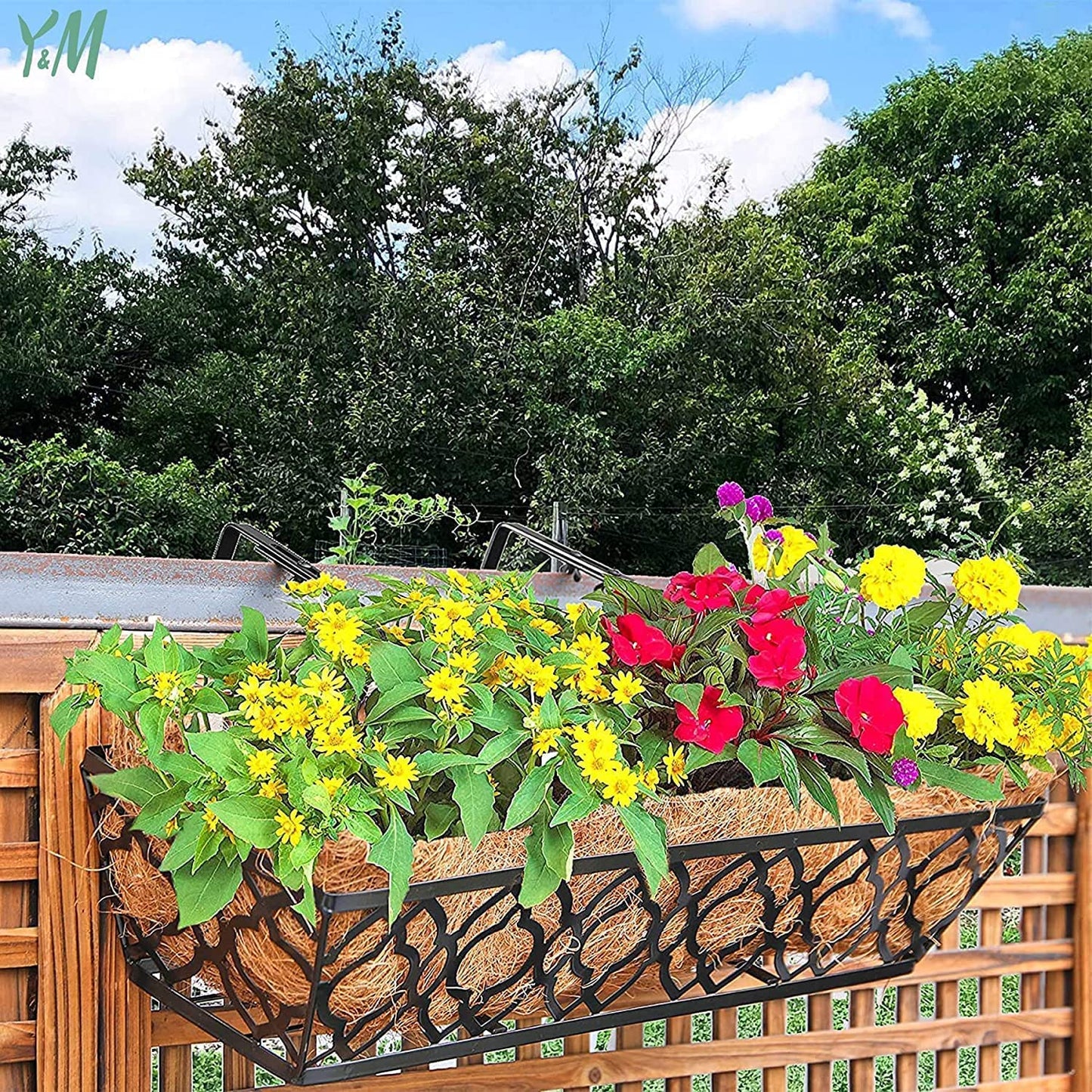 Y&M 4 Packs 24 Inch Flower Boxes for Deck Railings