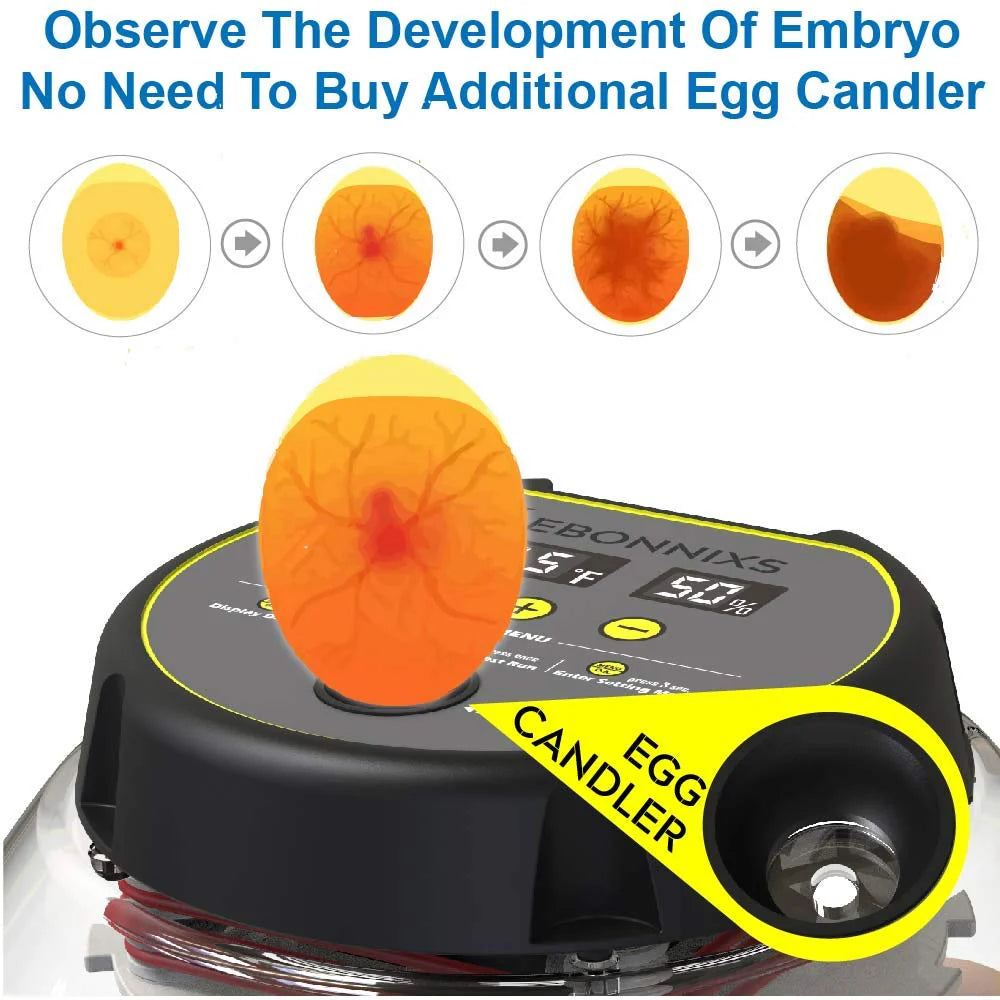 KEBONNIXS 12 Egg Incubator with Humidity Display