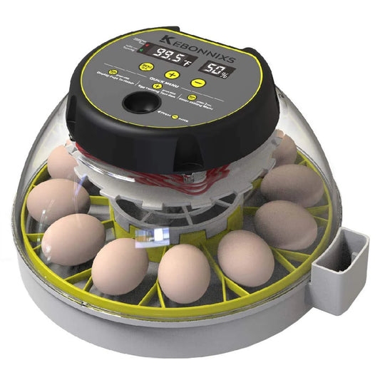 KEBONNIXS 12 Egg Incubator with Humidity Display